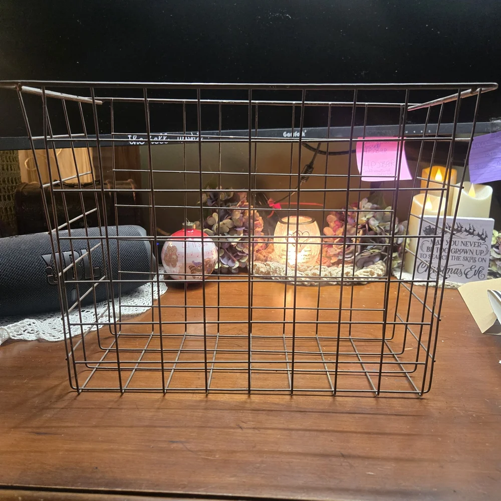 Wire Hanging File Organizer